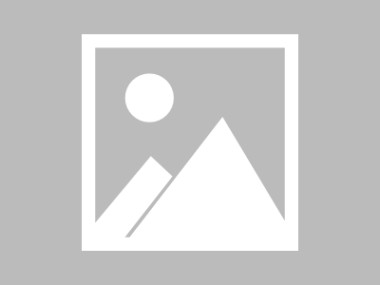 科技驱动下的每一步域名动态，数字化转型的新机遇，引领未来，助力市场。